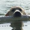 Ellie's first swim